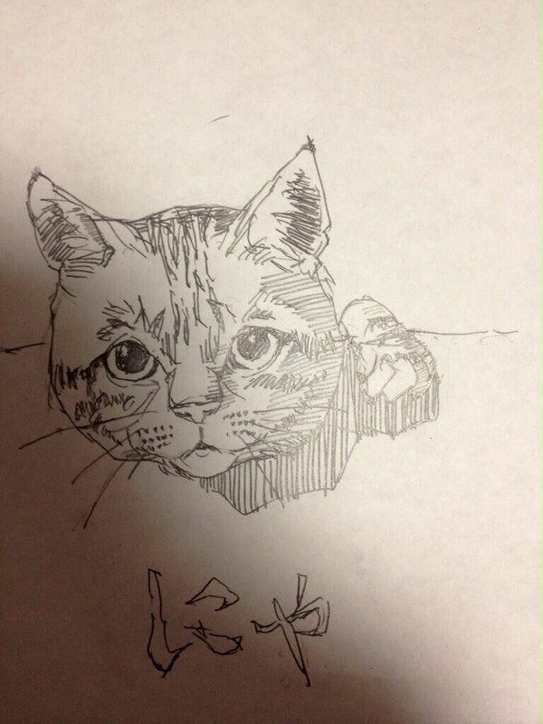 らくがき