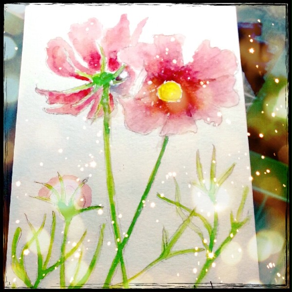 愛の花
