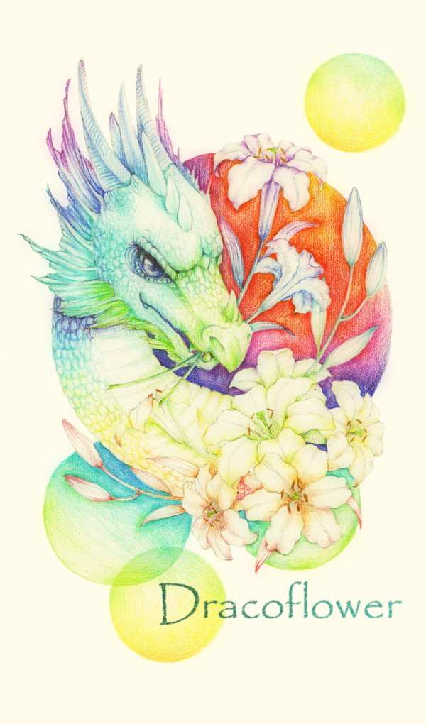 Dracoflower