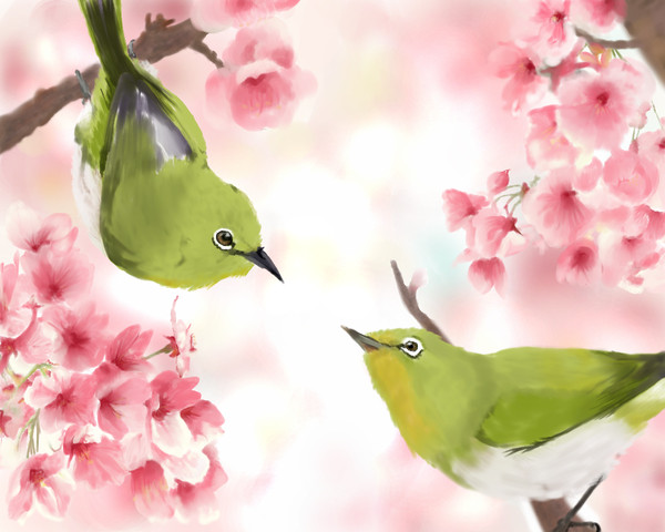 Primavera