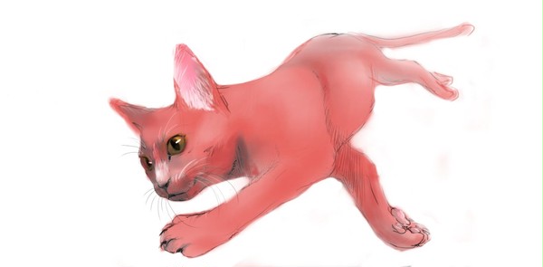 【獣化】赤司にゃんこ