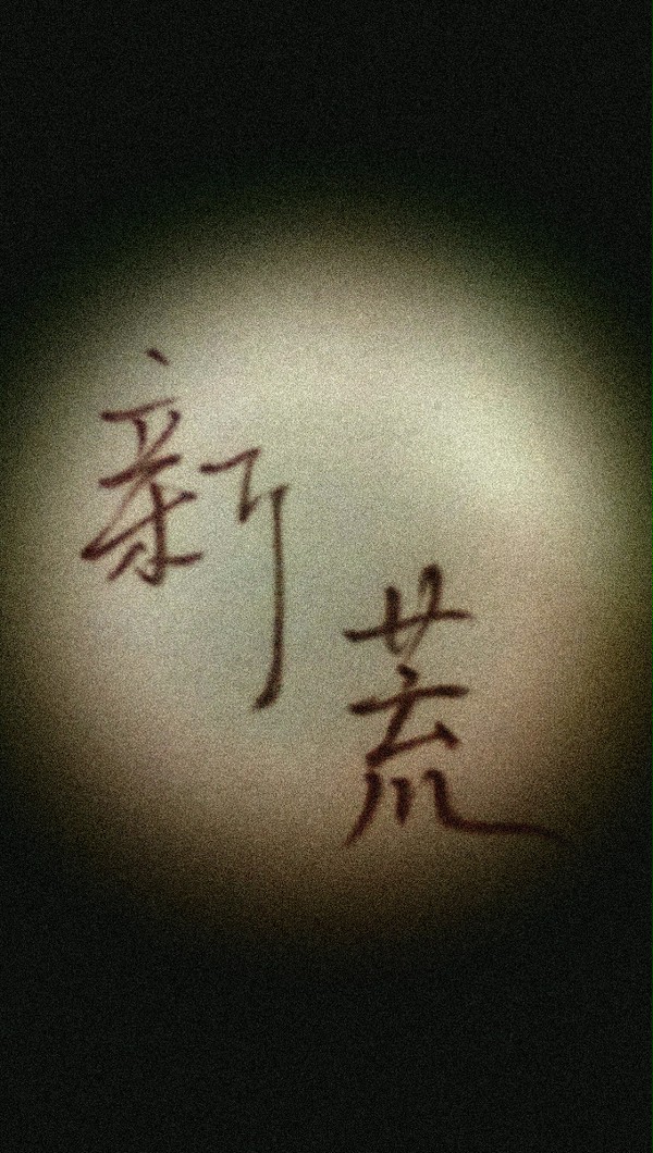 手写 新荒
