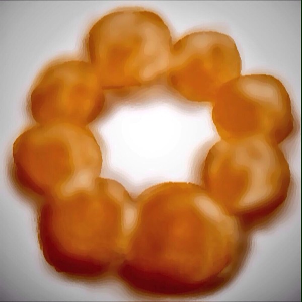 ツヤ出しポンデ
