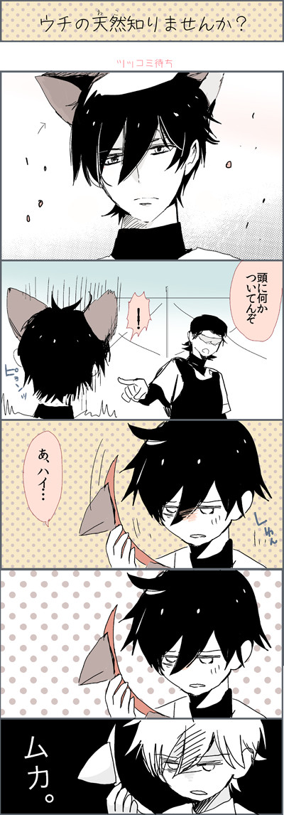 ウチの××知りませんか？