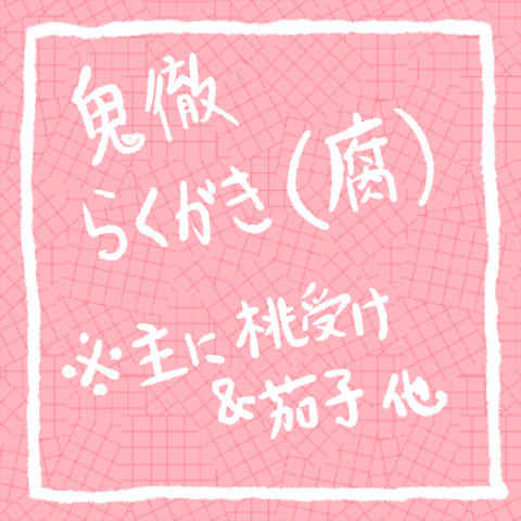 【腐向け】らくがき色々【主に桃受】