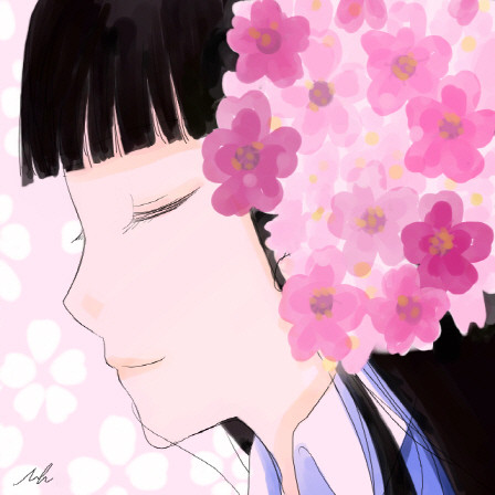 cherry blossom