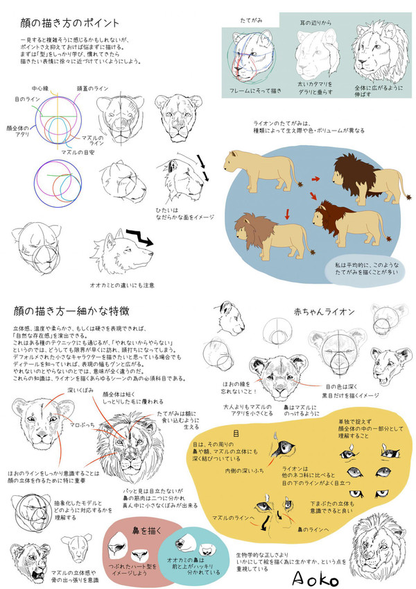 ライオンの描き方
