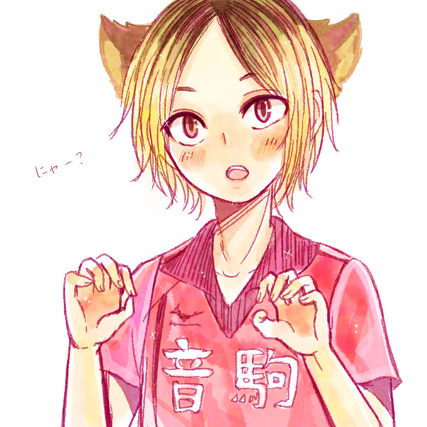 【獣耳注意】研磨くん