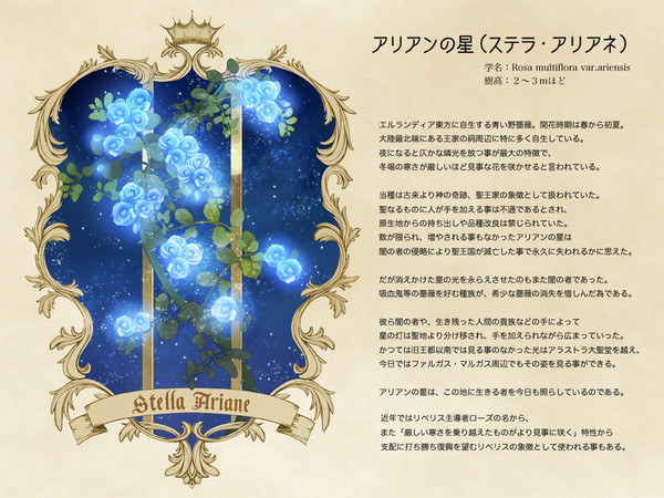 【PFFK】アリアンの星