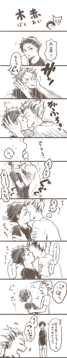 【木赤】ぼくあか【HQ】