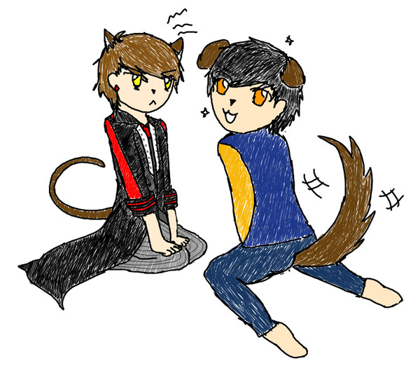 猫と犬