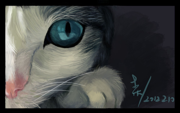 猫1