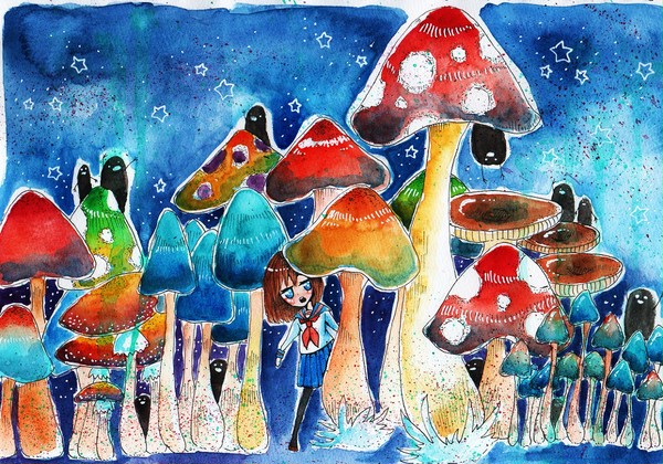 きのこの森