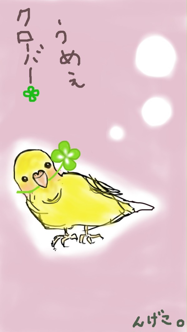 クローバーうめぇインコ