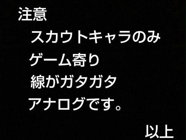 我がスカウト陣