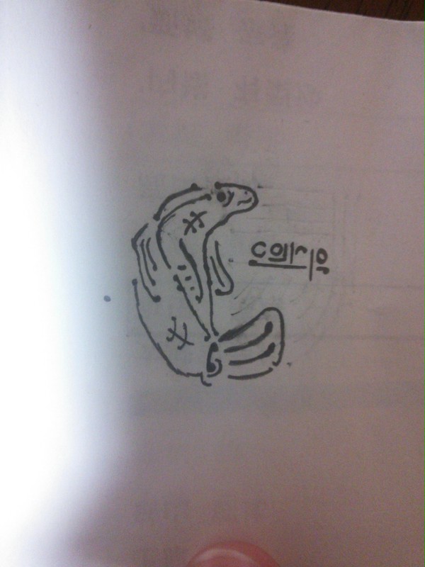 carp/鯉