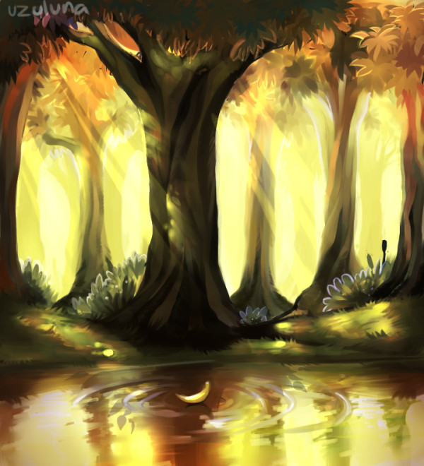 forest