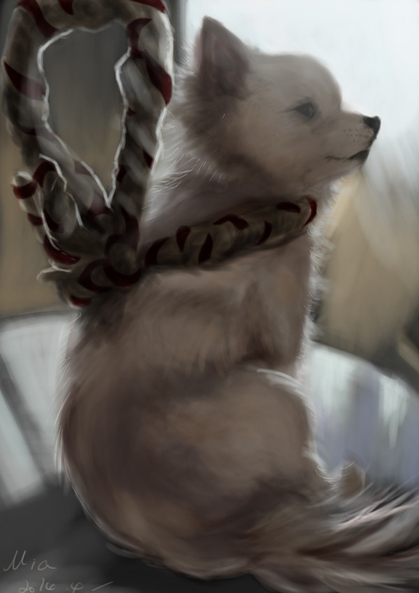 シロ