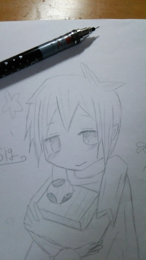 ショタシグ