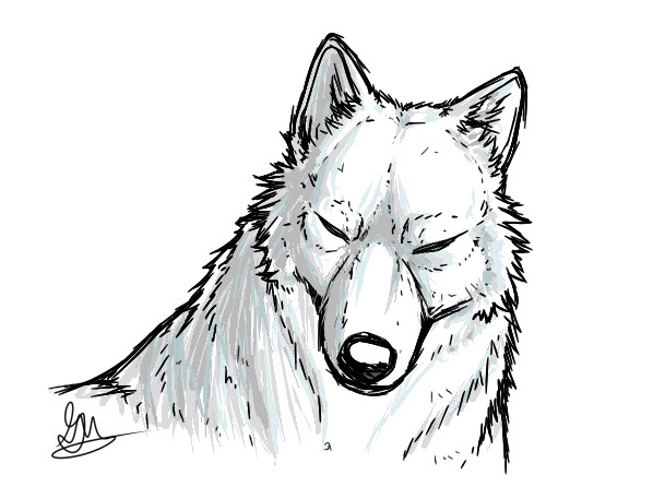 chosen wolf