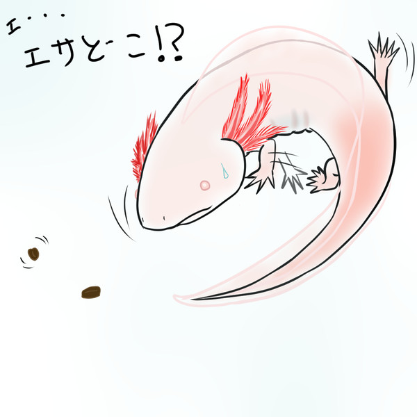 ウパ子