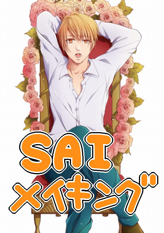SAIメイキング