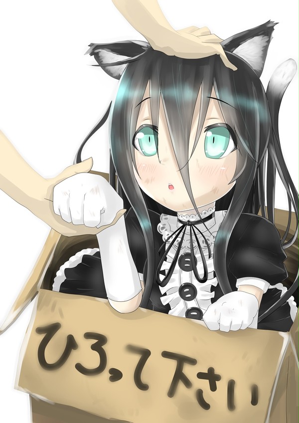 捨てにゃん
