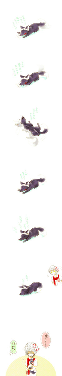 黒狐に