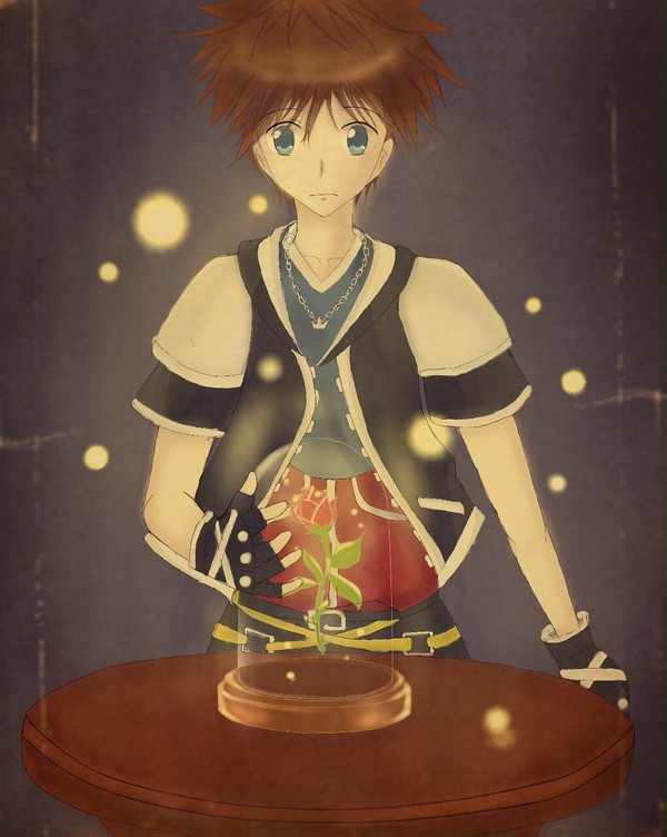 Sora in beauty&beast world