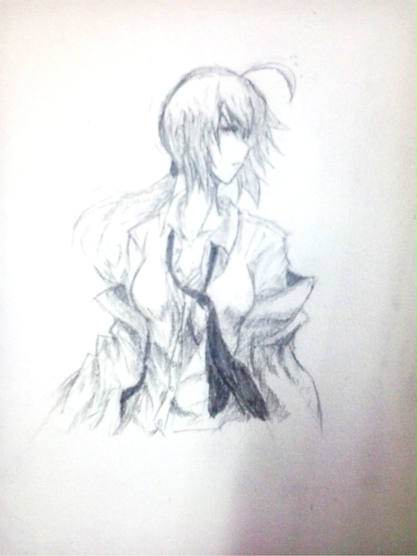 hins 1