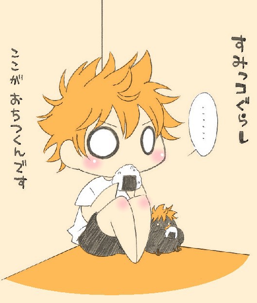 【HQ!!】　すみっコ日向