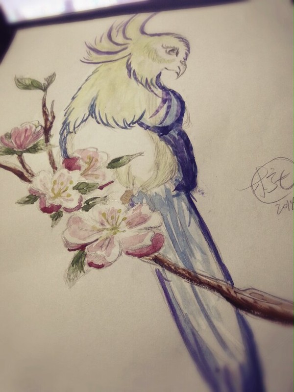 花鳥