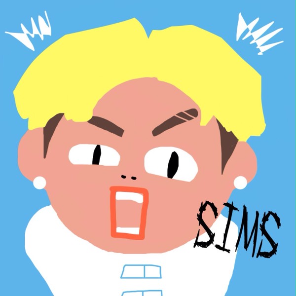 M.I.B   SIMS