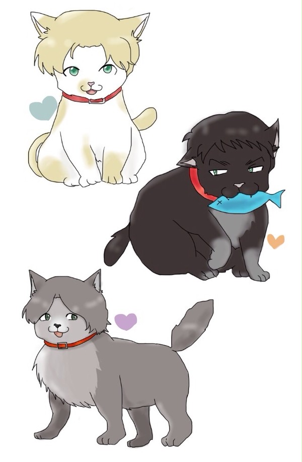 巽家人類猫化計画【獣化注意】