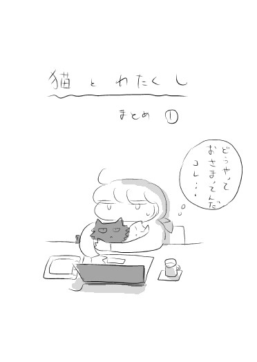 猫とわたくし・まとめ
