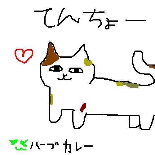 てんちょ―