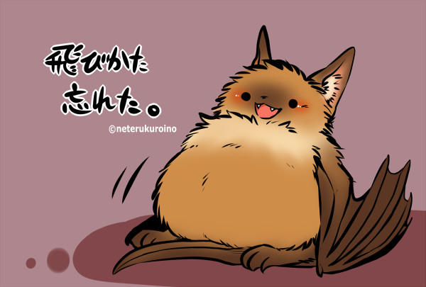 こうもり。