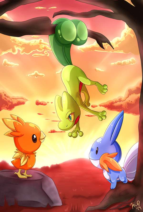 Which Starter Shall you Choose?