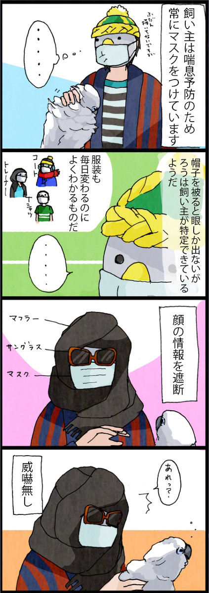 タイハクオウム：プチ視覚実験