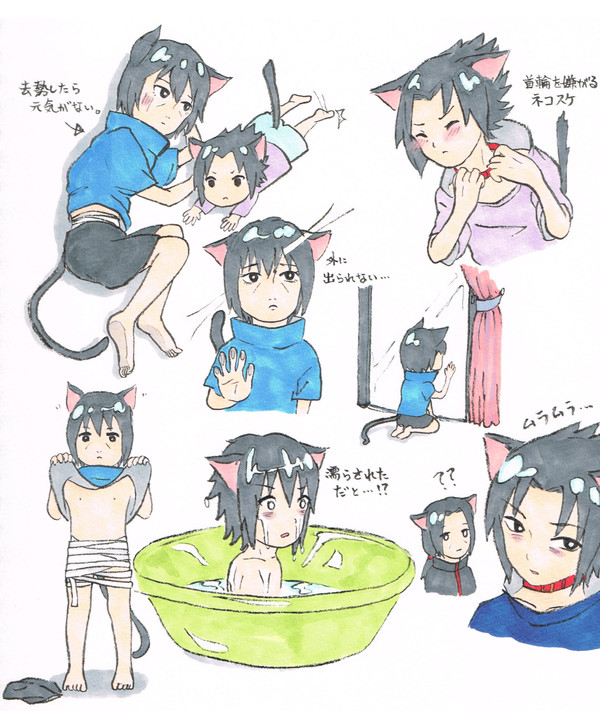 兄弟をネコにして飼いたい