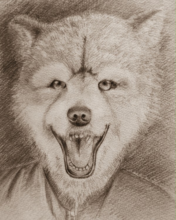 MAN WITH A MISSION　スペア・リブ