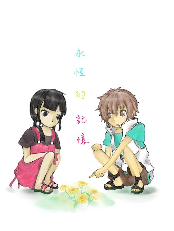 麥桿菊
