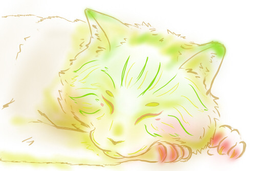 猫叔叔