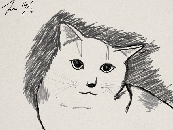 neko 3