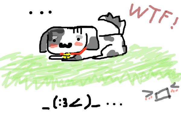 dog or cow？