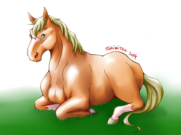 メガネ牝馬
