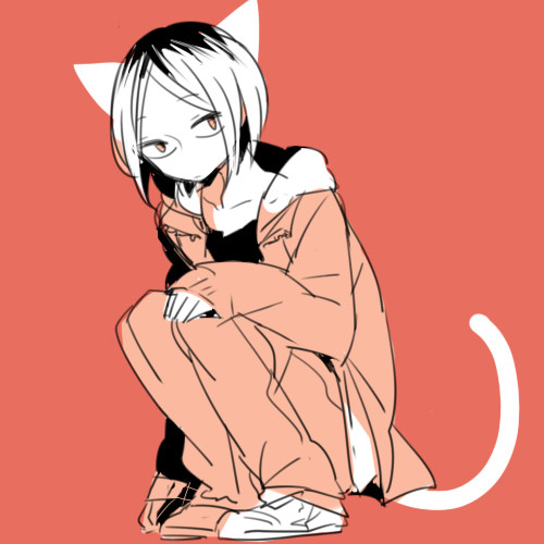 はいきゅろぐ