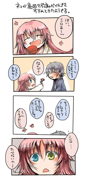 【K】シロちゃんお誕生日おめでとう！！