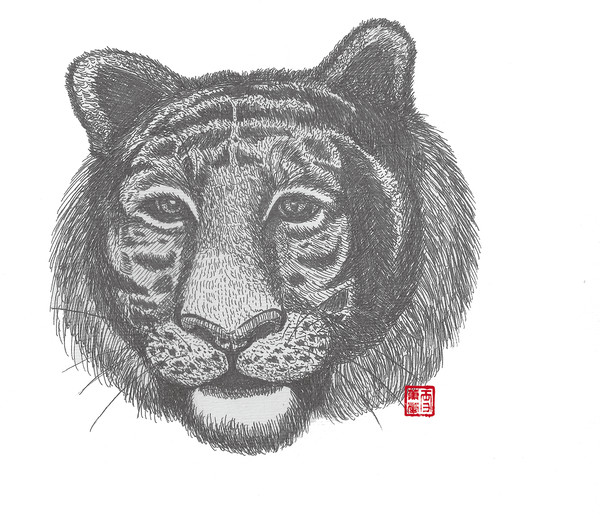 斷面。虎。疤。憂傷