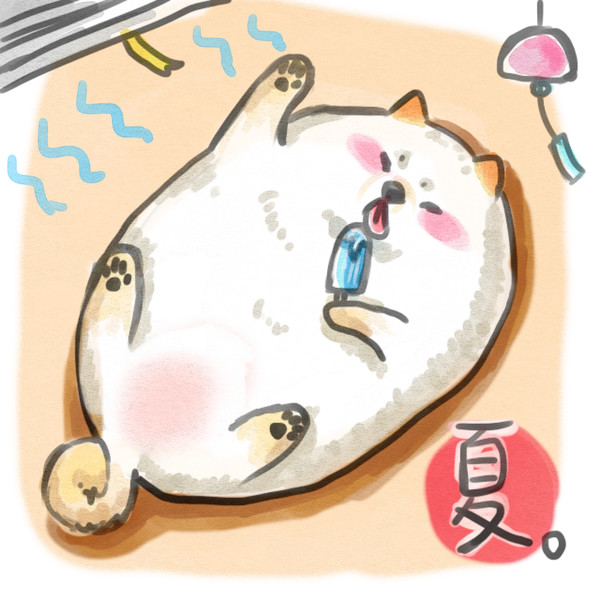 夏柴